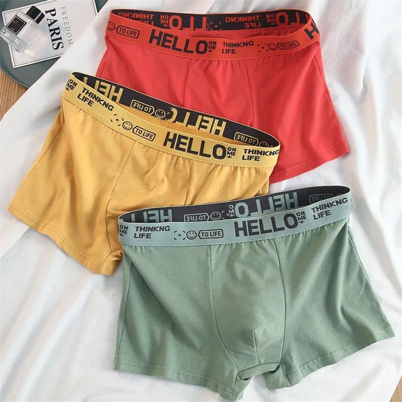 10Pieces/ Men's Underwear Men  - Boxer Brief Pack Cotton のレビューと価格