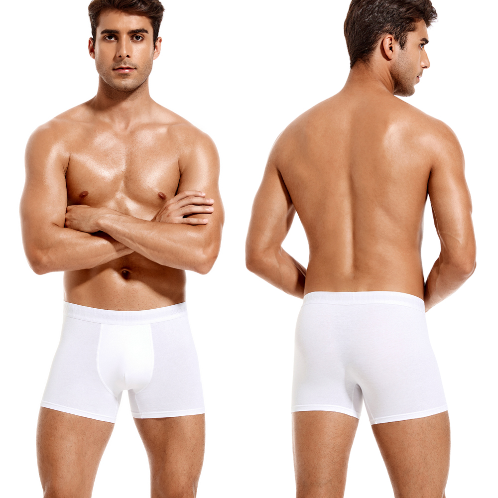 6pcs White Men Panties Cotton  - Boxer Brief Pack Cotton のレビューと価格
