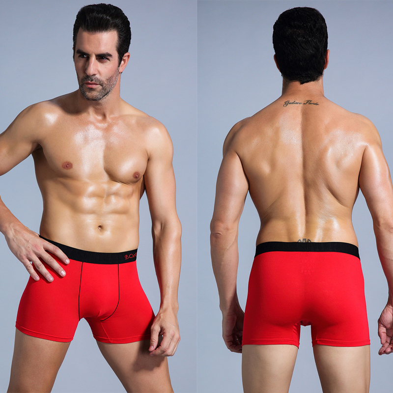 6pcs White Men Panties Cotton  - Boxer Brief Pack Cotton のレビューと価格