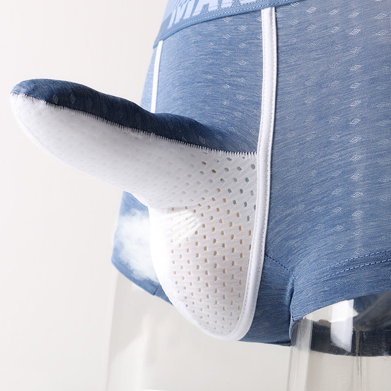 Men's Ice Silk Boxer Briefs, B - Mesh Sport Boxer のレビューと価格