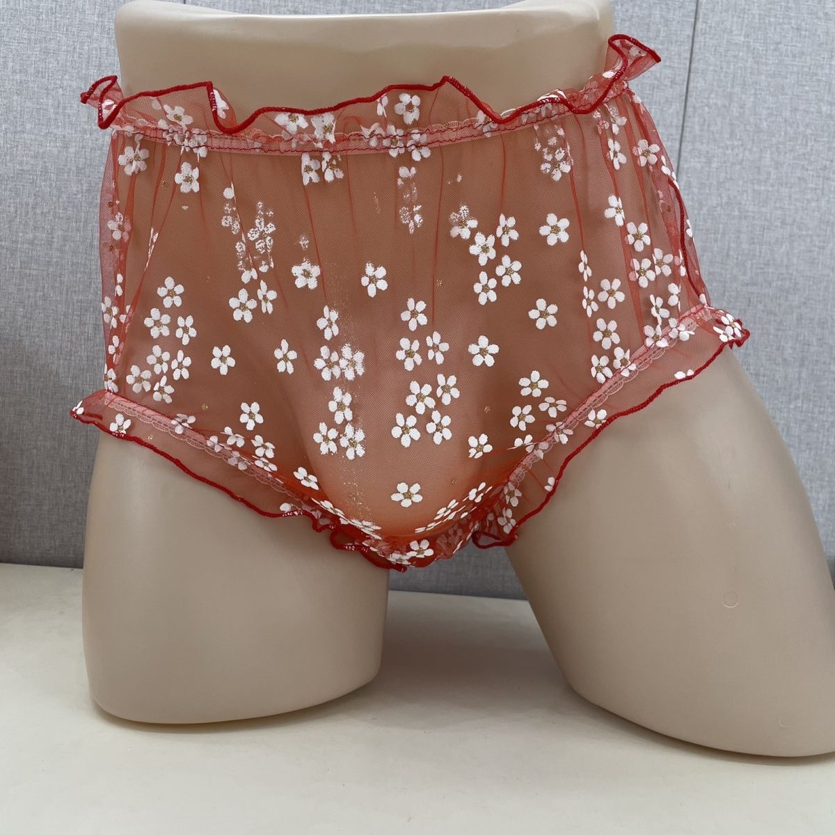 Mesh Men's Briefs Front Widene - Pouch Boxer Pouch のレビューと価格