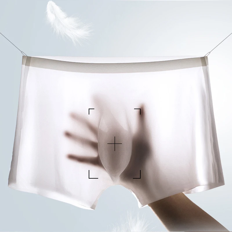 10 Pcs/Lot Men's Summer Ice Si - Boxer Shorts Modal のレビューと価格