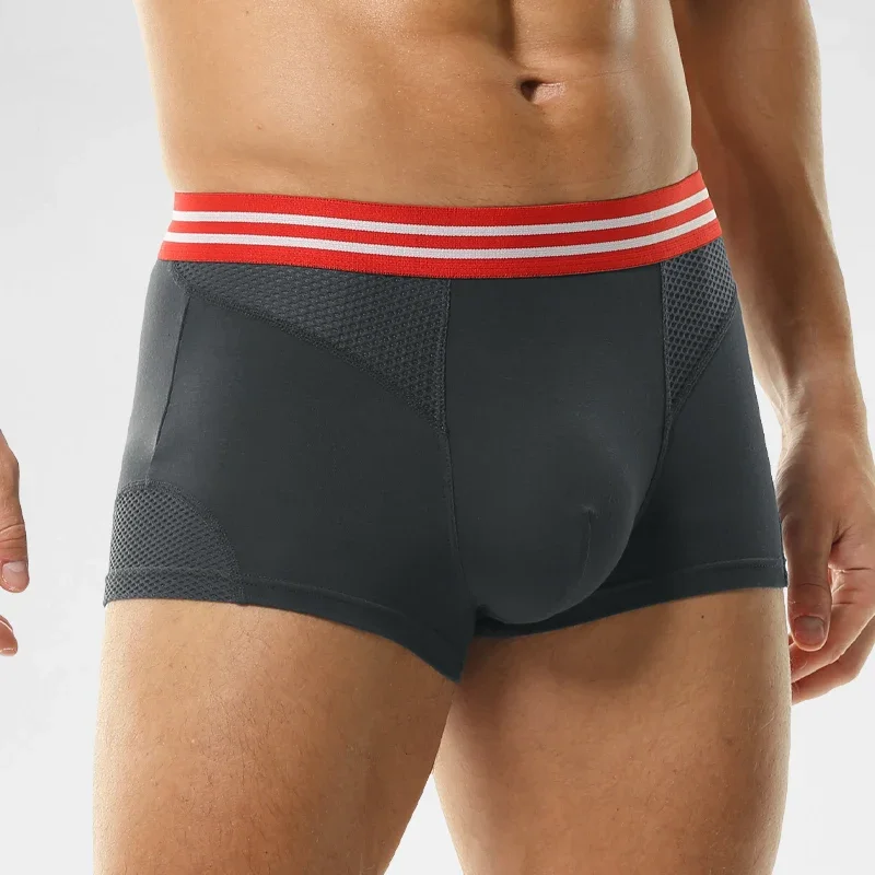 Underwear Men's boxers  mesh b - Mesh Sport Boxer のレビューと価格