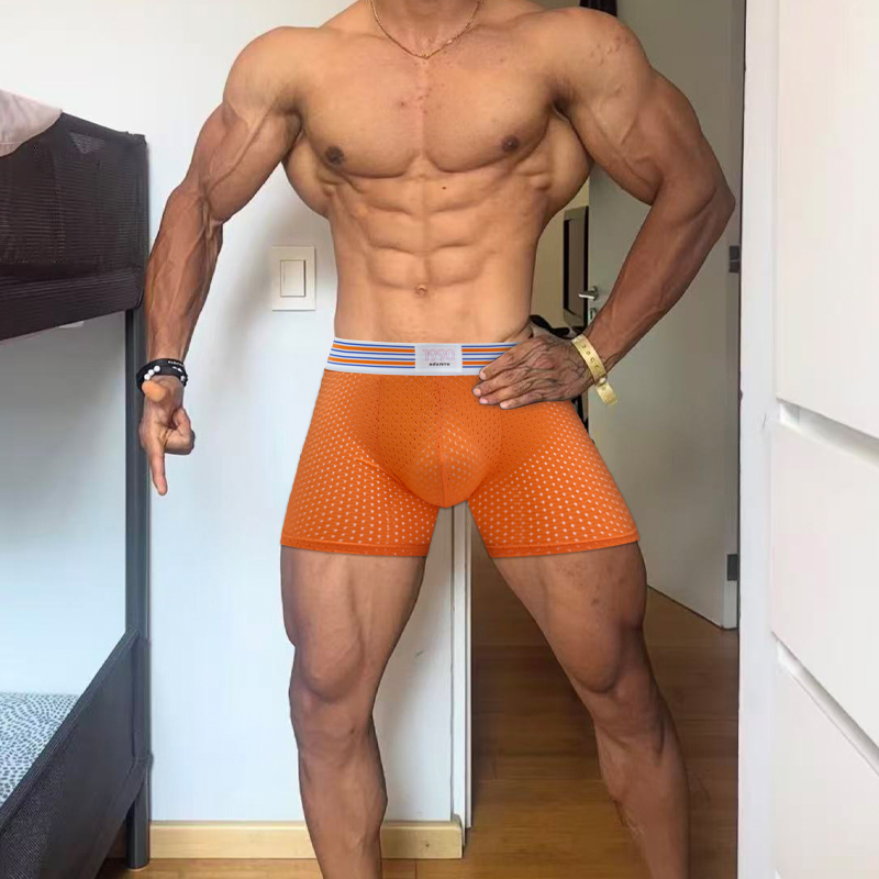 Fashionable Freely Detachable  - Mesh Sport Boxer のレビューと価格