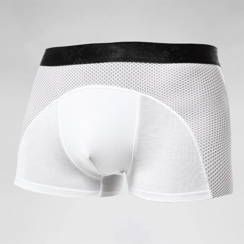 Men's underwear, men's ice sil - Mesh Sport Boxer のレビューと価格